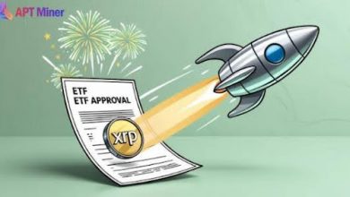undeterred-by-volatility:-apt-miner-helps-xrp-investors-easily-lock-in-daily-cash-flow.