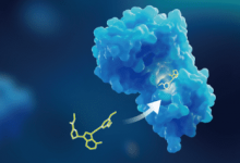 what-are-the-key-methods-for-immunogenicity-testing?