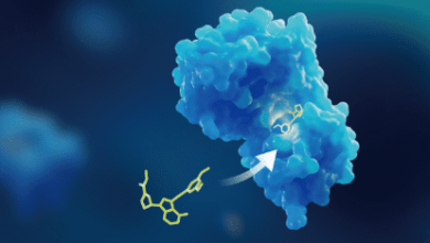 what-are-the-key-methods-for-immunogenicity-testing?