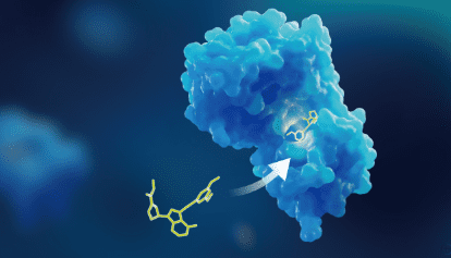 what-are-the-key-methods-for-immunogenicity-testing?