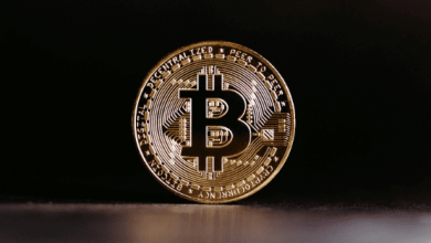 5-best-layer-1-cryptos-revolutionizing-2025:-blazpay’s-sdk-edge,-ethereum,-bnb,-and-solana